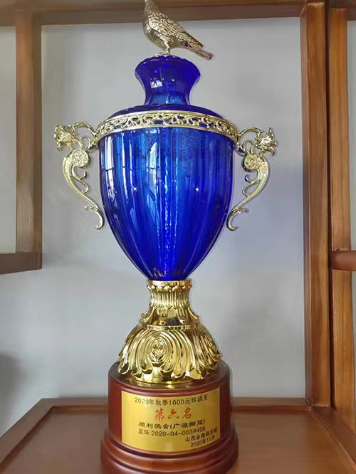 代县信鸽协会荣誉