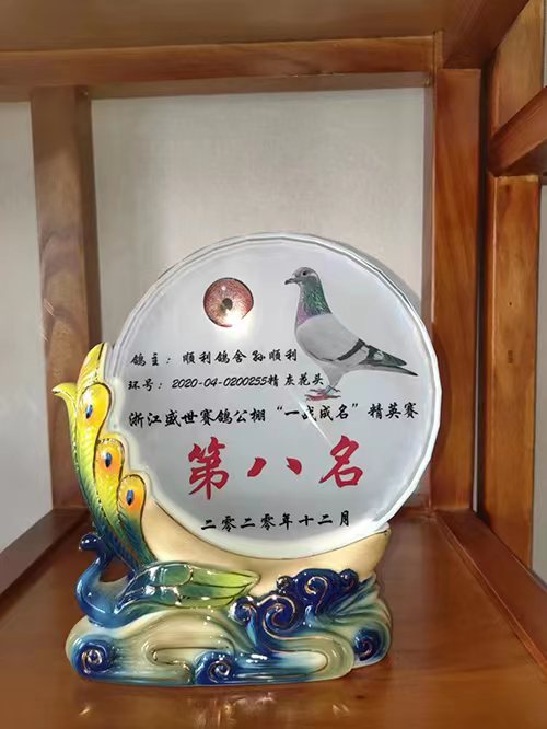 代县信鸽协会荣誉