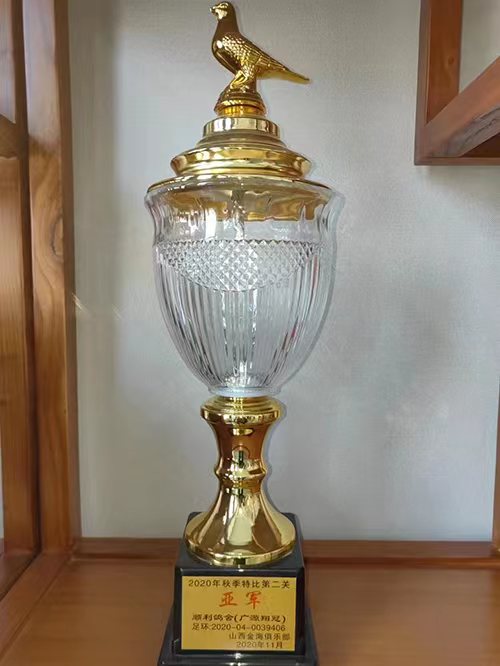 代县信鸽协会荣誉