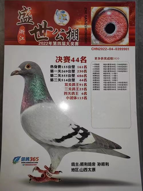 代县信鸽协会荣誉